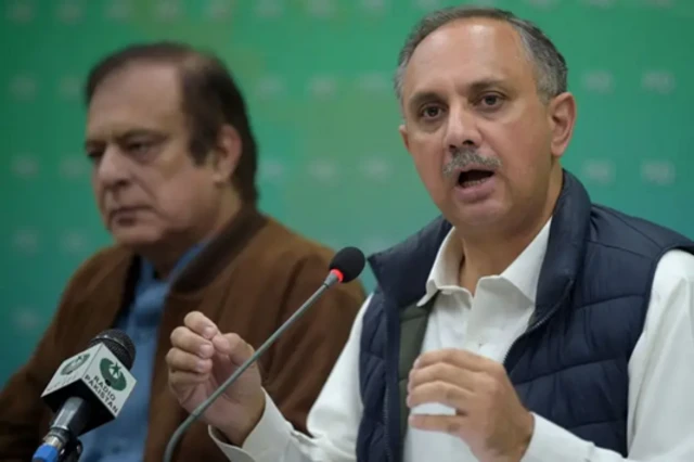 عمر ایوب، شبلی فراز