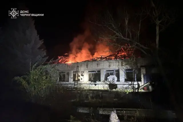 Спасатели опубликовали фото пожара