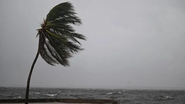 मेलिसा तूफ़ान