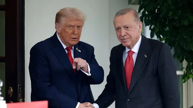 الرئيسان التركي رجب طيب أردوغان والأمريكي دونالد ترامب.