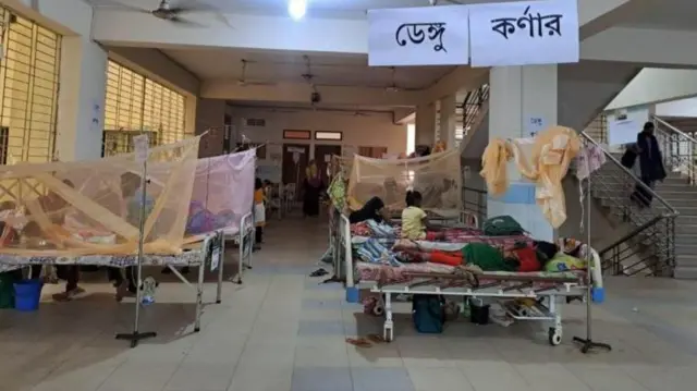 চলতি বছর ডেঙ্গুতে আক্রান্ত হয়ে নিহতের সংখ্যা দাঁড়িয়েছে ২১৫ তে