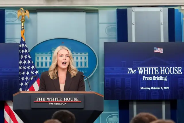 المتحدثة باسم البيت الأبيض كارولاين ليفيت