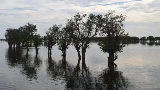 টাঙ্গুয়ার হাওর