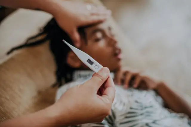 Nama ho'i qaamaa safarama ajiru