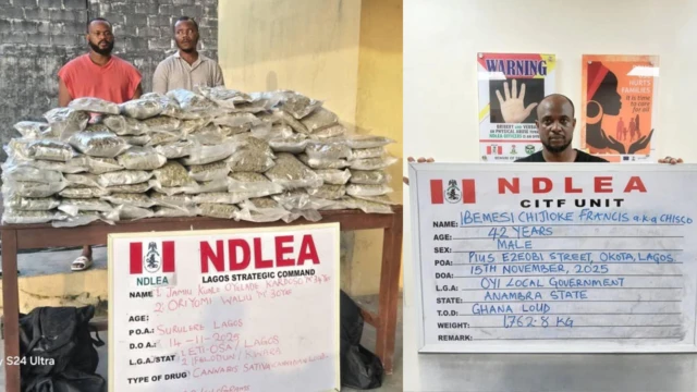 Ndị NDLEA jidere maka ebubo ịtụmgbere ọgwụike
