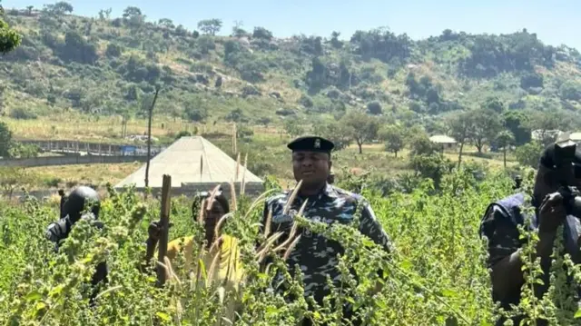 Yansanda a cikin daji a Bwari Abuja