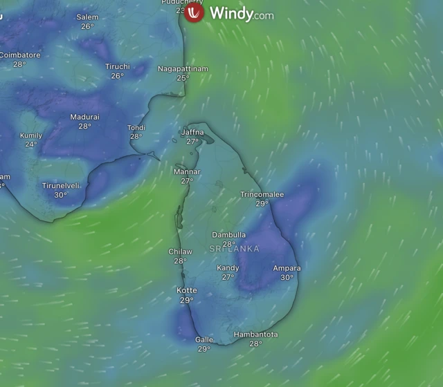 2025.11.30 තත්ත්වය