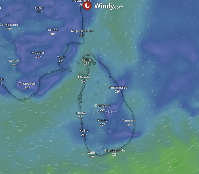 2025.12.01 තත්ත්වය