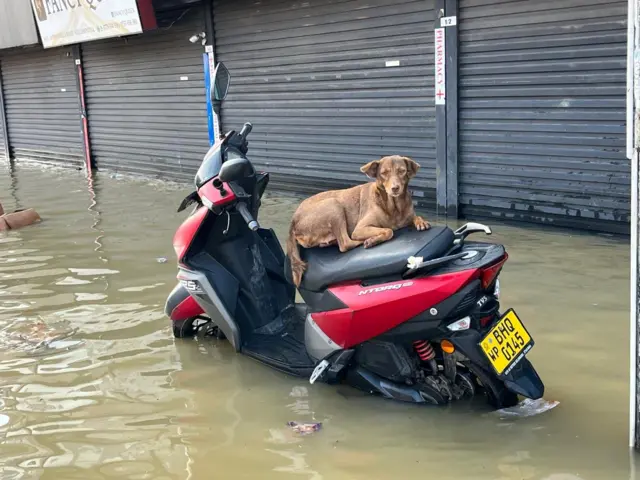 Flood