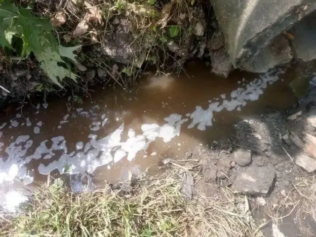 Laga kutaa bulchiinsa Kolfee Qaraaniyoo hospitaalli Alert faale