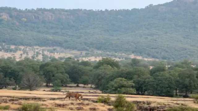 अरावली की पहाड़ियां (फ़ाइल फ़ोटो)