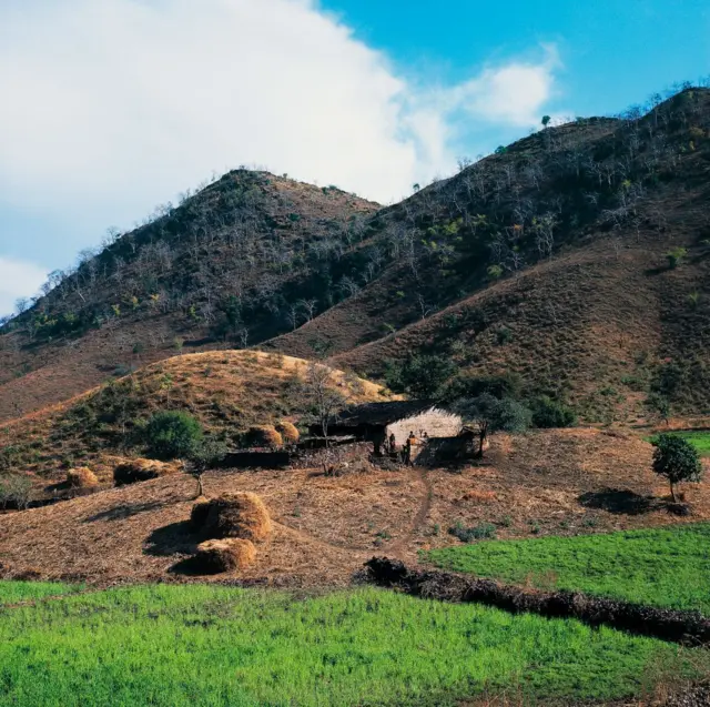 अरावली