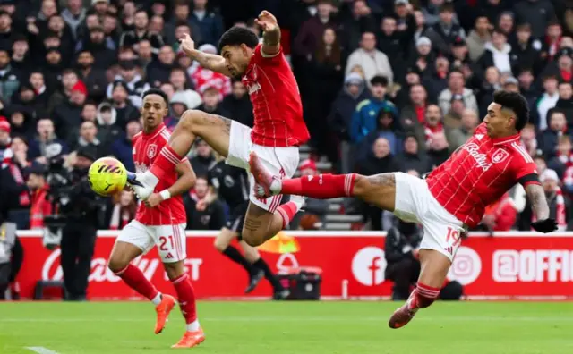 Taphattoota Forest daqiiqaa gara jalqabaa yaalii bareedaa yeroo taasisan