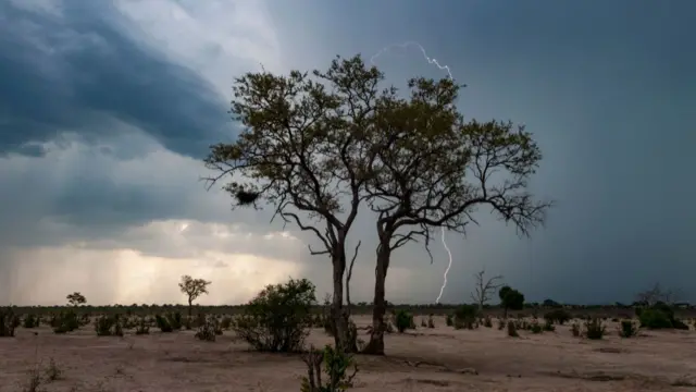 A na-atụ anya egbe eluigwe na mmiri ozuzo na mpaghara Ọwụwa Anyanwụ - NiMet