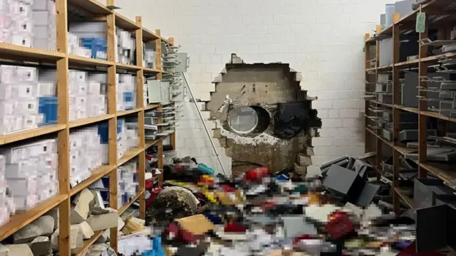 Saamicha baankii Jarman