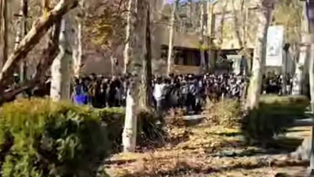 دانشگاه تهران