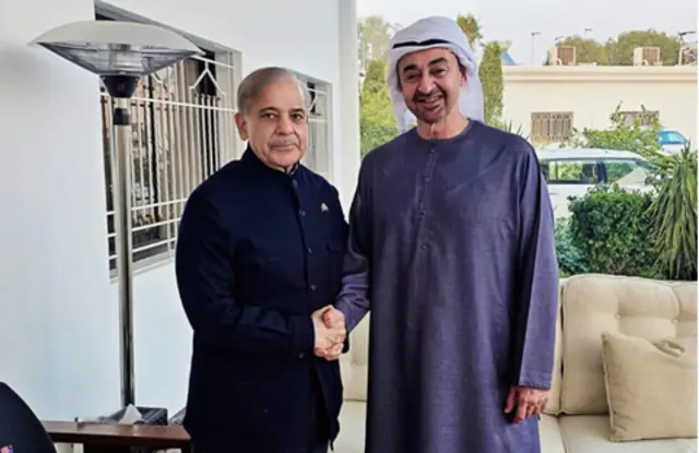 شہباز شریف اور تحدہ عرب امارات کے صدر محمد بن زید النہیان