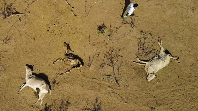 Loon hongeen obbaase