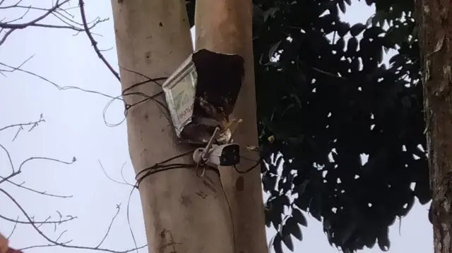 বাঁশজানি সীমান্তের শূন্যরেখায় স্থাপিত বিএসএফের সিসিটিভি ক্যামেরা