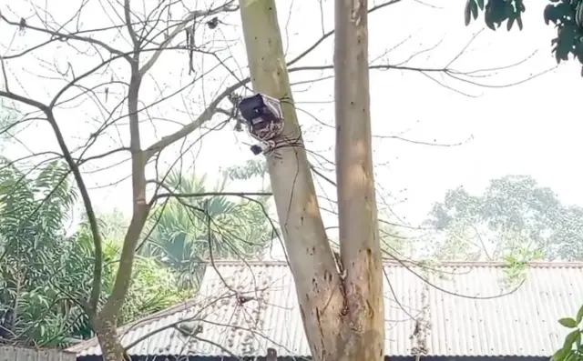 বিএসএফের লাগানো সিসিটিভি ক্যামেরা