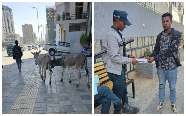 Namtichi Finfinneetti daandii misooma koridarii irra harroota oofe Birrii 5,000 adabame
