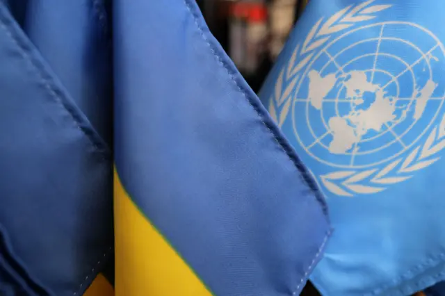 Флаги Украины и ООН