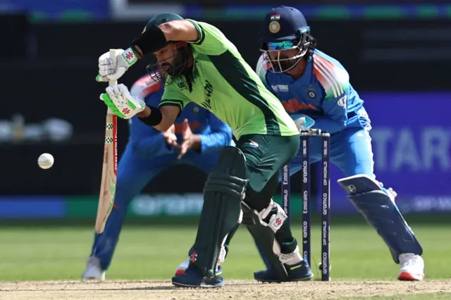 Cricket