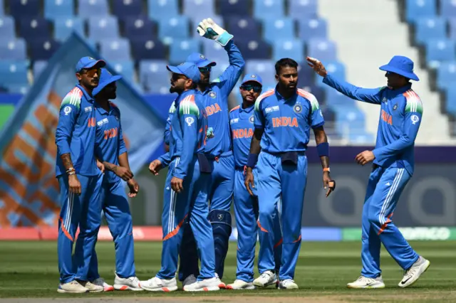 cricket