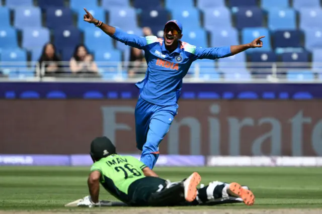 Cricket