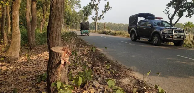ডাকাত দল রাস্তায় গাছ ফেলে তিনটি বাস থামায়