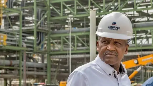 Hoton Dangote a matatarsa