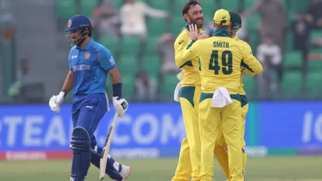 ग्लेन मैक्सवेल ने अफ़ग़ानिस्तान के बल्लेबाज़ रहमत शाह का विकेट लिया