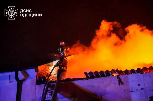 Спасатели опубликовали фото пожара в Одесской области
