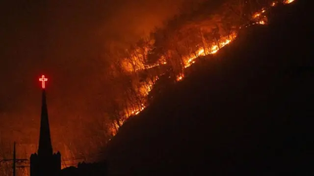 दक्षिण कोरिया के जंगल में आग