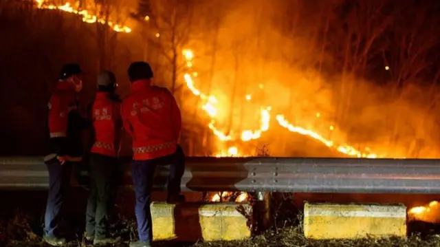 दक्षिण कोरिया में जंगल की आग