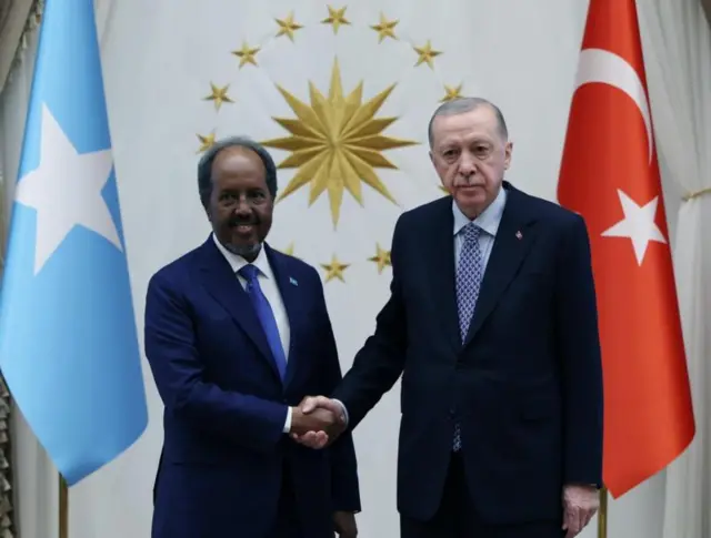 Dureewwan Somaaliyaa fi Turkii