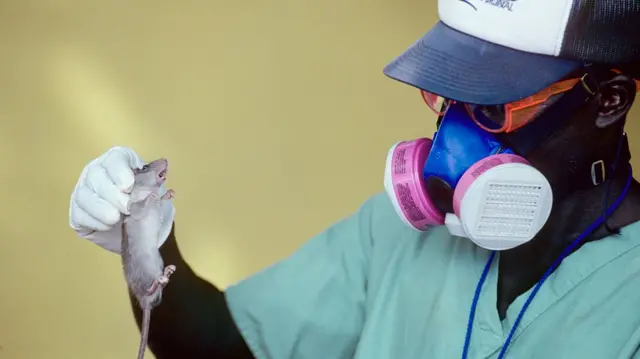 Onye ọrụ ahụike ji oke na-ekesa ọrịa Lassa Fever
