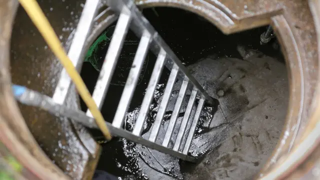 सांकेतिक तस्वीर