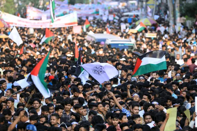 বিএনপি'র প্রতিবাদ ও সংহতি র্যালির ছবি