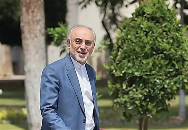 علی اکبر صالحی