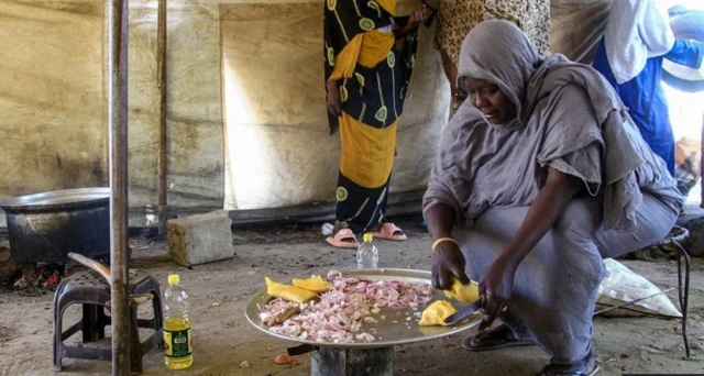 Ndịagha RSF ekwupụtala mmalite ọchịchị mgba na Sudan