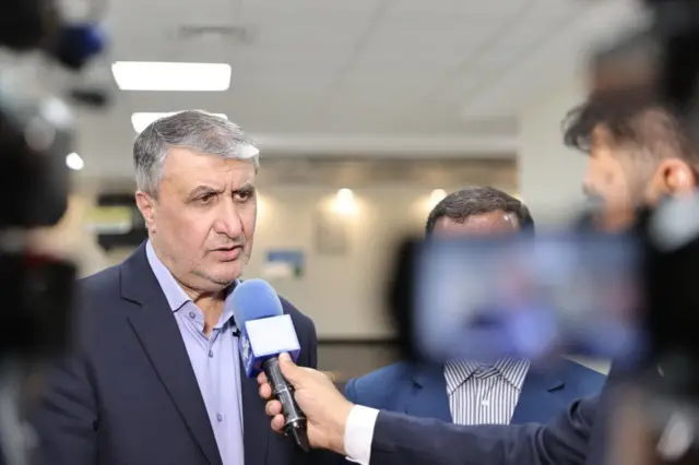 محمد اسلامی،‌ رئیس سازمان انرژی اتمی ایران