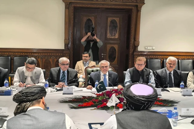 اسحاق ڈار کی ملاقاتیں