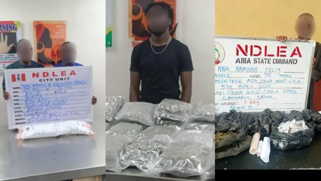 Ụfọdụ ndị a na-enyo enyo ndị ọrụ NDLEA wụchiri na steeti dị iche iche na Naịjirịa