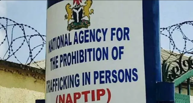 NAPTIP anapụtala nwata nwaanyị e rere n’ọnụego 100,000 n’Abuja