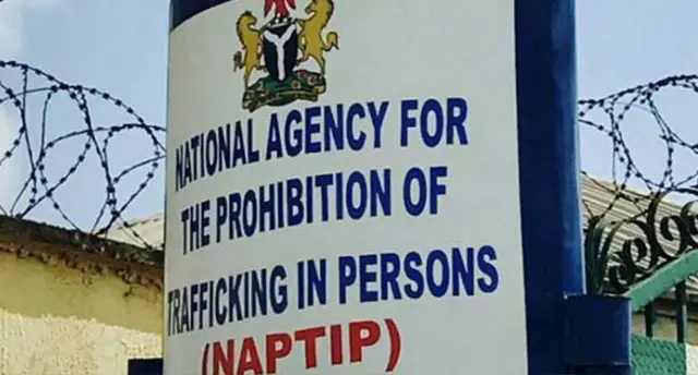 NAPTIP