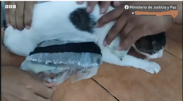 Aka akparala nwa mba e jidere maka ibu ọgwụike