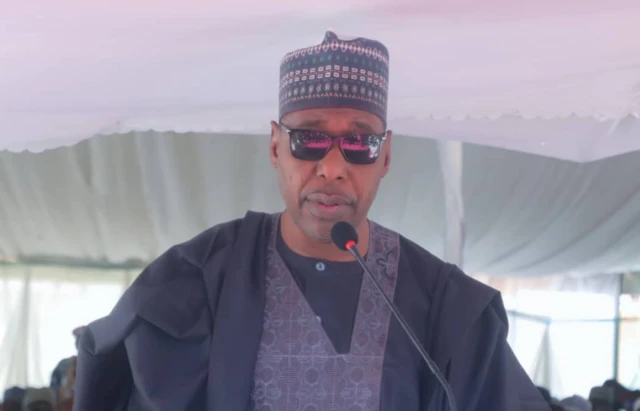 Gwamnan Borno