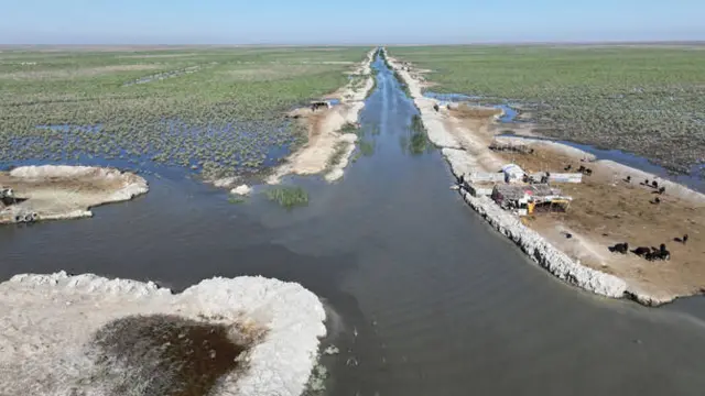 Iraqi