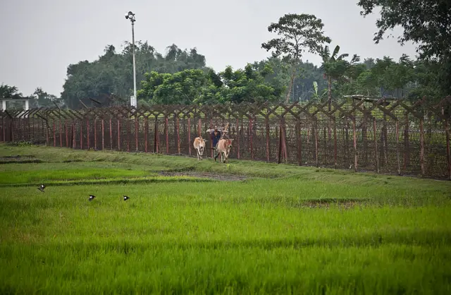বাংলাদেশ-ভারত সীমান্ত, ফাইল ছবি